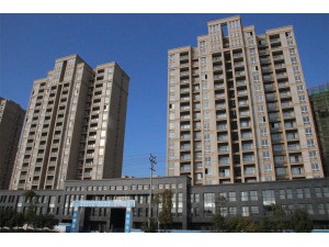 桐城市經(jīng)開區(qū)沖塘、姚塘住宅區(qū)工程（榮獲2013年“省標(biāo)準(zhǔn)化工地”稱號）